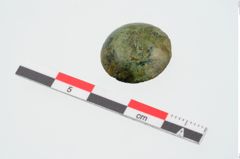 Foto von Bronzeknopf (NHMW-PRAE-024043)